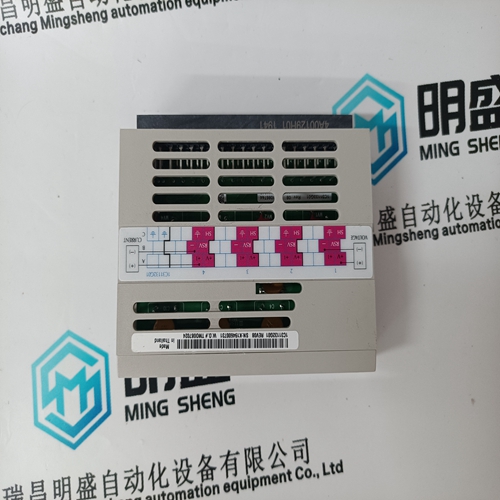 1C31132G01 Output module personality