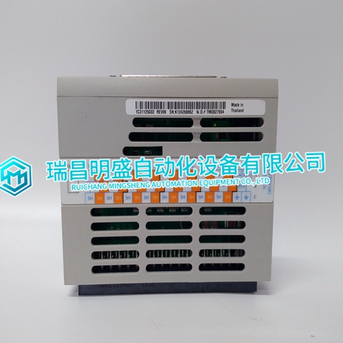 1C31125G02 Input module USES guidance