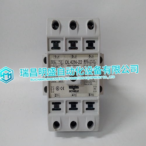 SCHIELE DL42N-22 Analog module