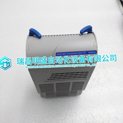 5X00594G01 analog output module