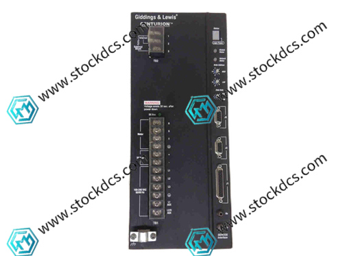 GIDINGS&LEWIS DSA-175-230-S servo dr