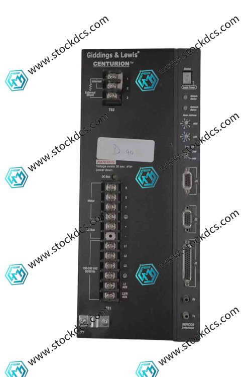 GIDINGS&LEWIS DSA-175-230S servo dri