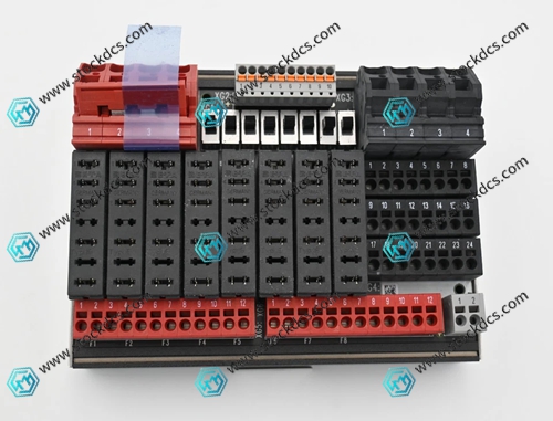 H7202.webp (2).jpg