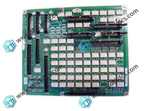 3D81-050029-V1 (2).jpg