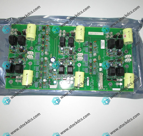 IM6379A0967.webp.jpg