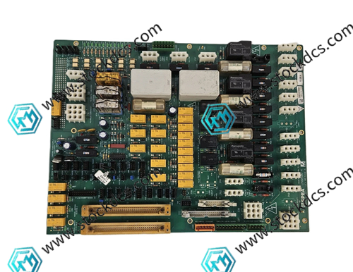 LP00500-4.webp.jpg