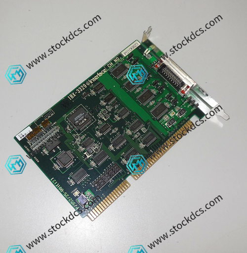 IBX-3329.webp.jpg